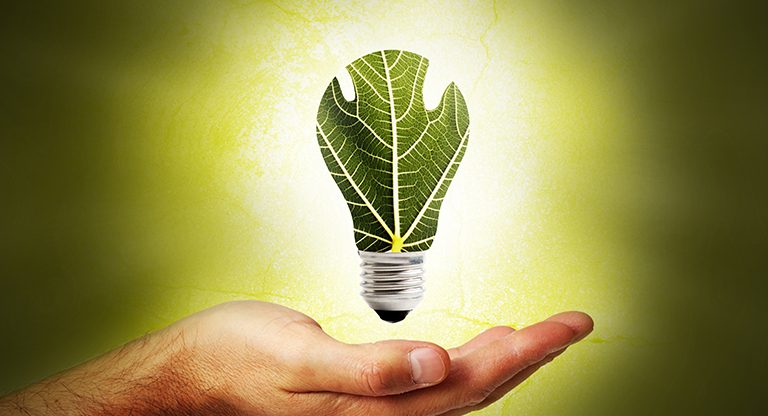 Yenilenebilir Enerji Yüzde 50 Artacak